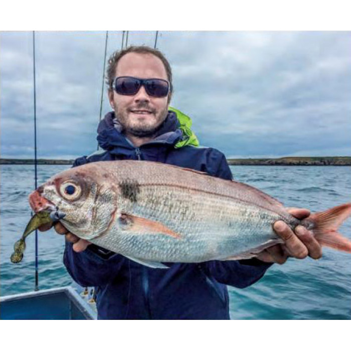 Delalande Shad GT 15cm