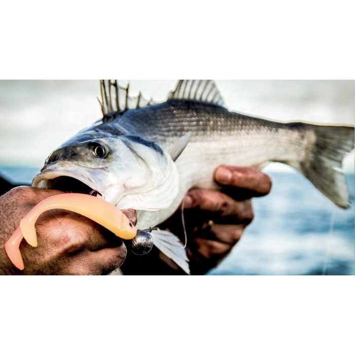 Delalande Shad GT 15cm